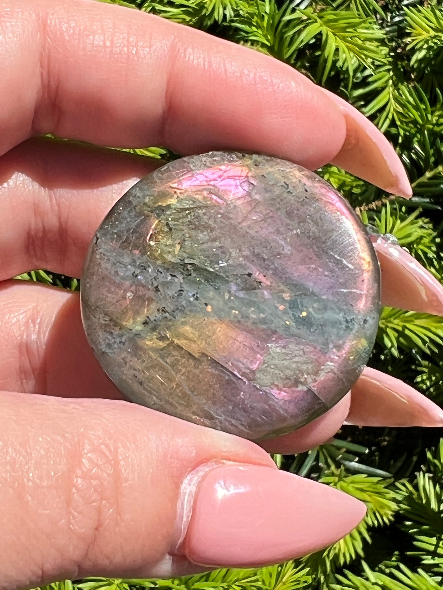 Labradorite Coins || Intuitively Selected Crystal