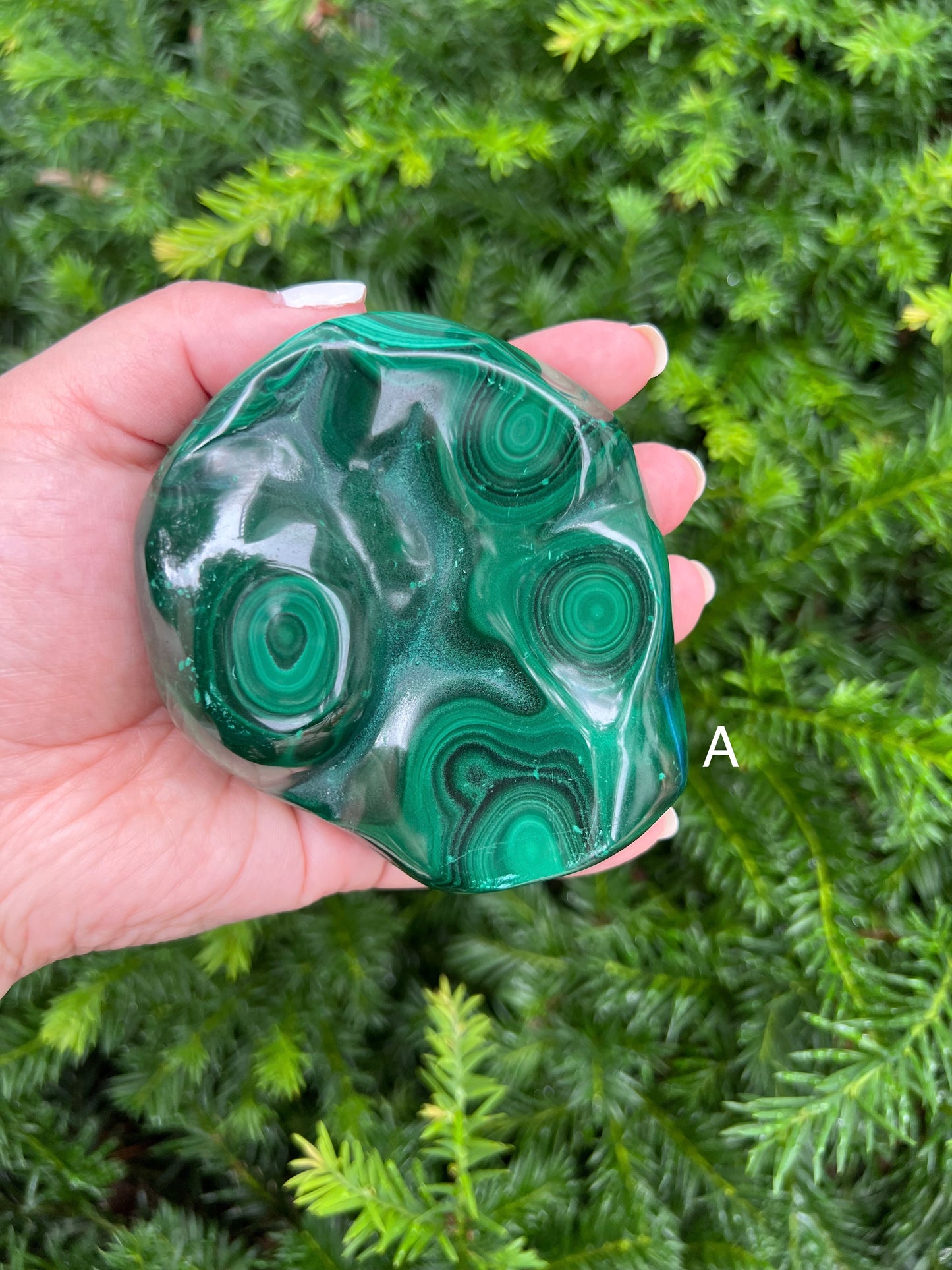 Malachite Free Forms || Gorgeous Malachite Free Form Specimens