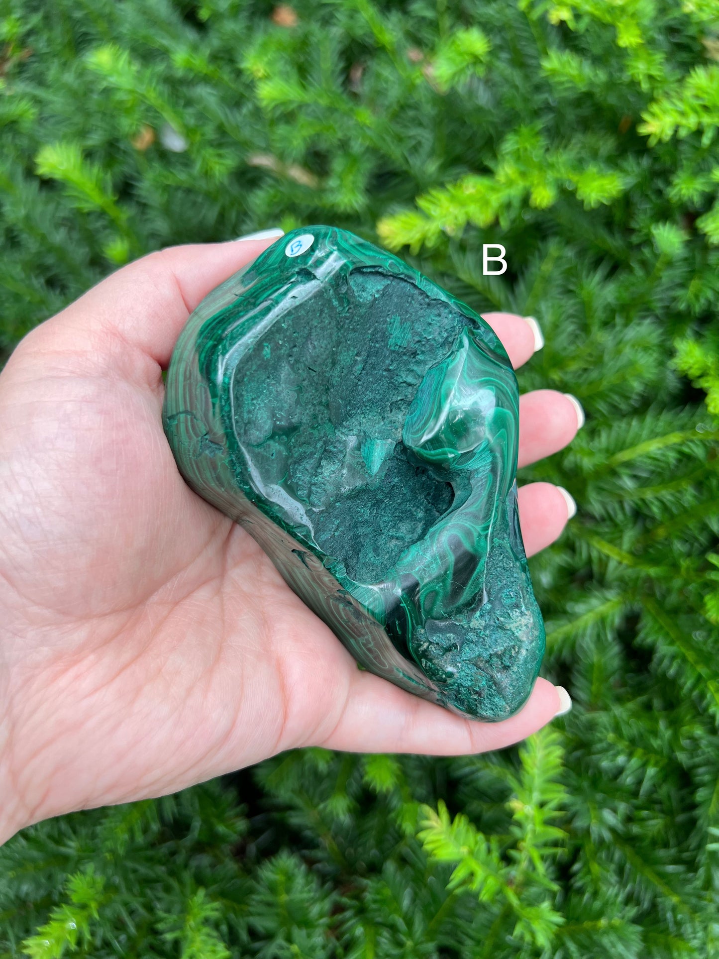 Malachite Free Forms || Gorgeous Malachite Free Form Specimens