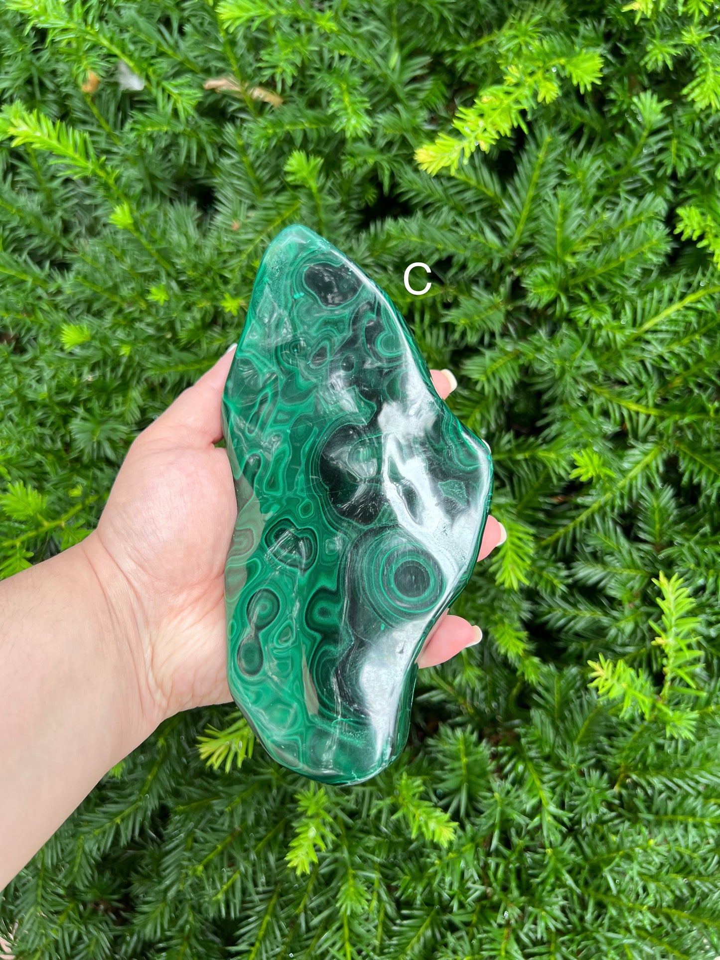 Malachite Free Forms || Gorgeous Malachite Free Form Specimens