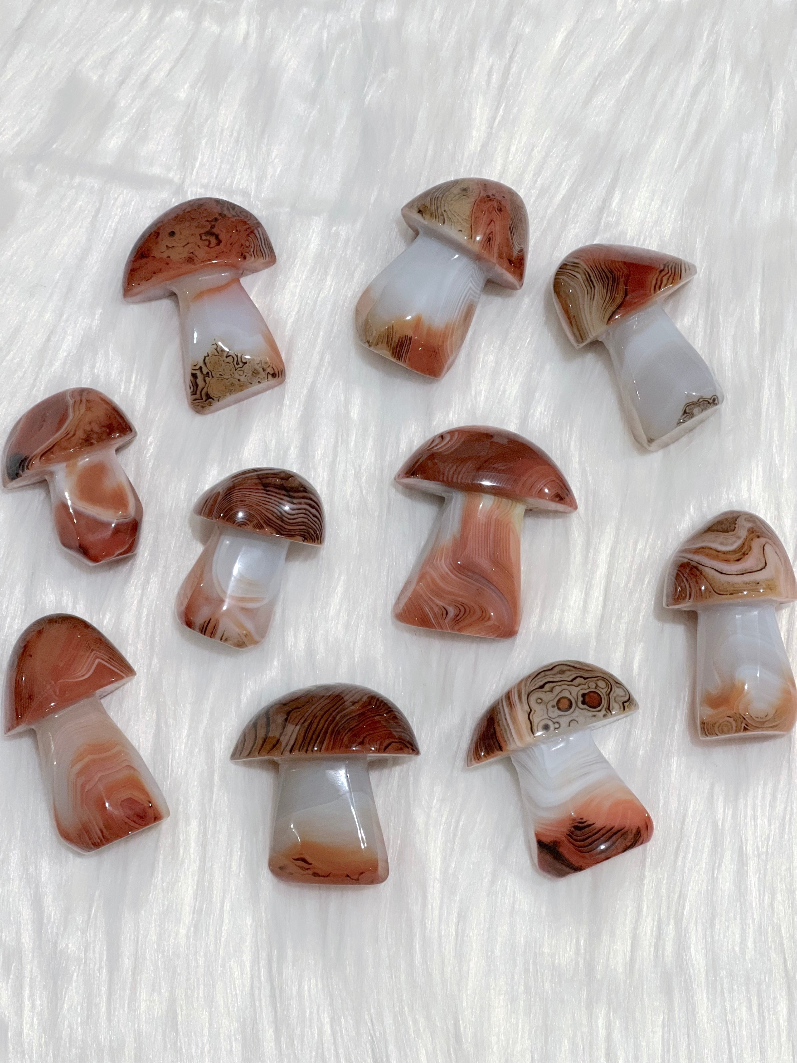 Sardonyx Mushrooms – Sacred Scorpio
