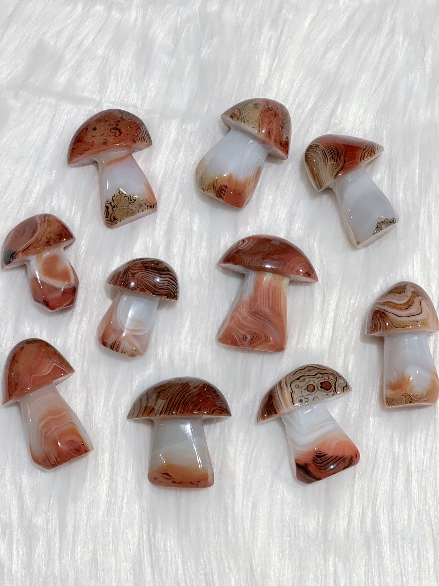 Sardonyx Mushrooms