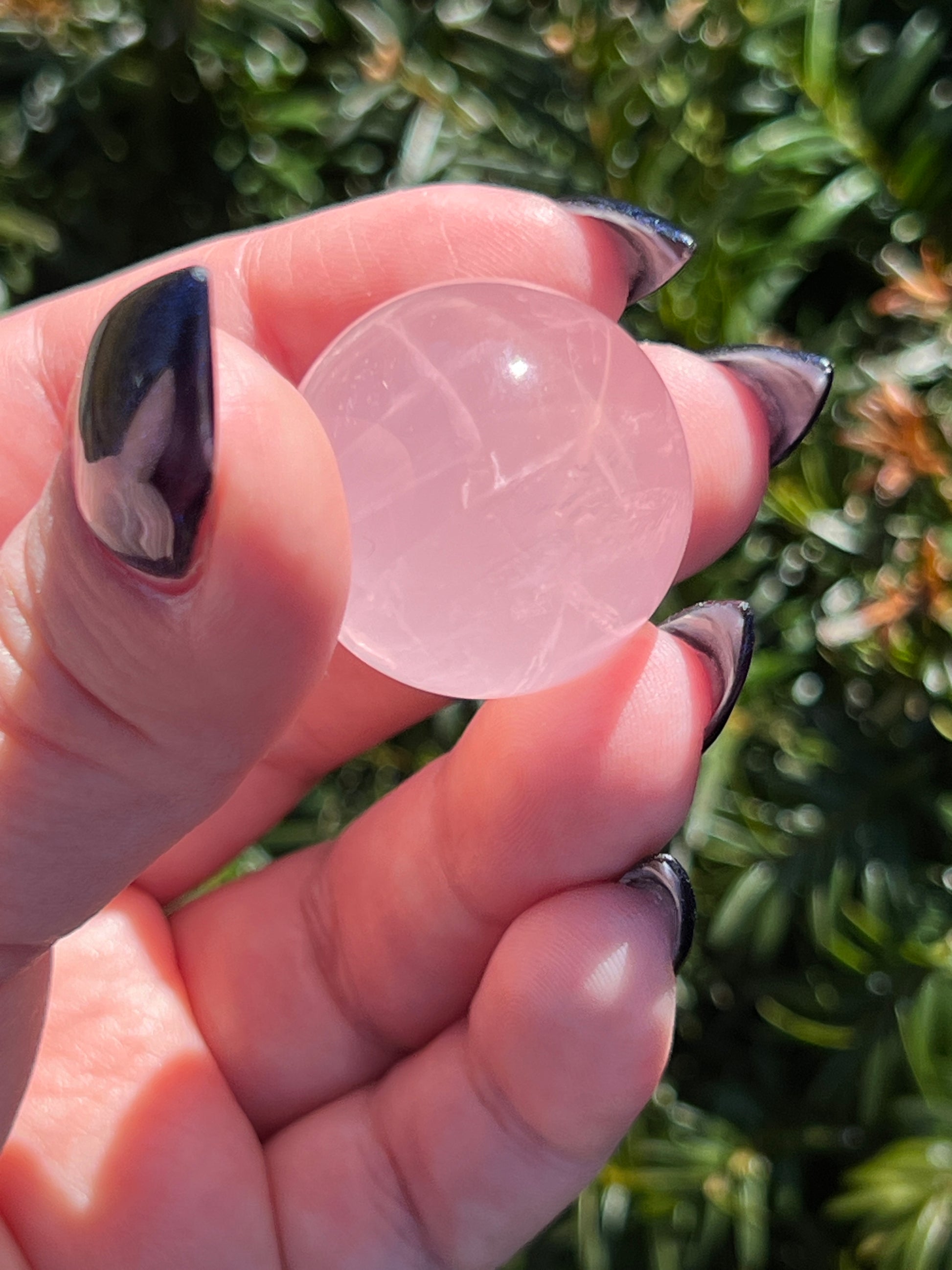 Rose Quartz Spheres with Asterism || Intuitively Chosen Crystals image 3