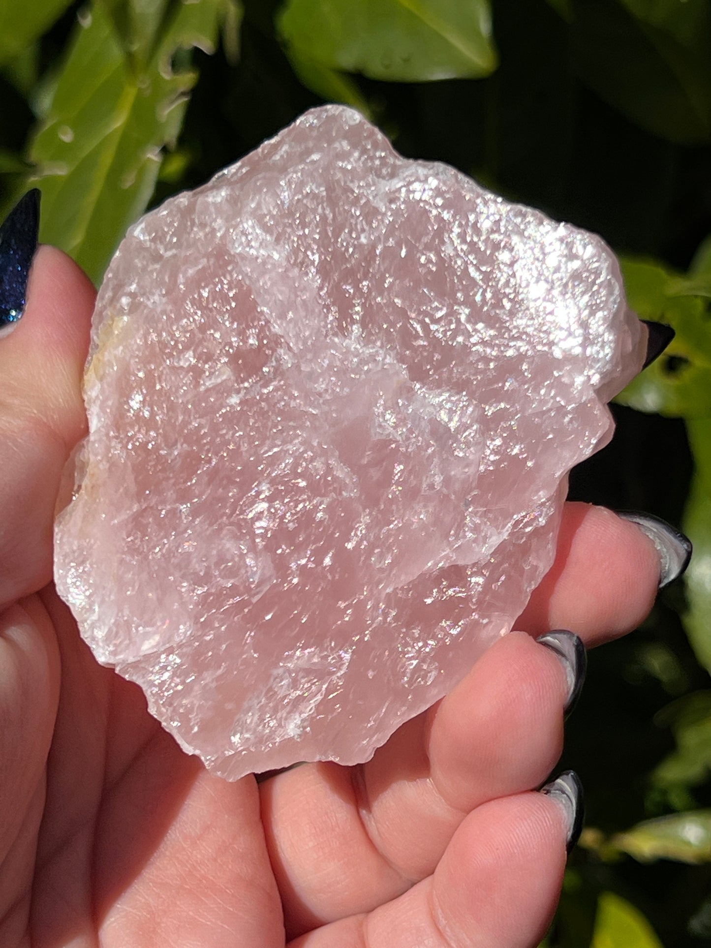 Raw Rose Quartz || Choose Your Own Crystal! image 0