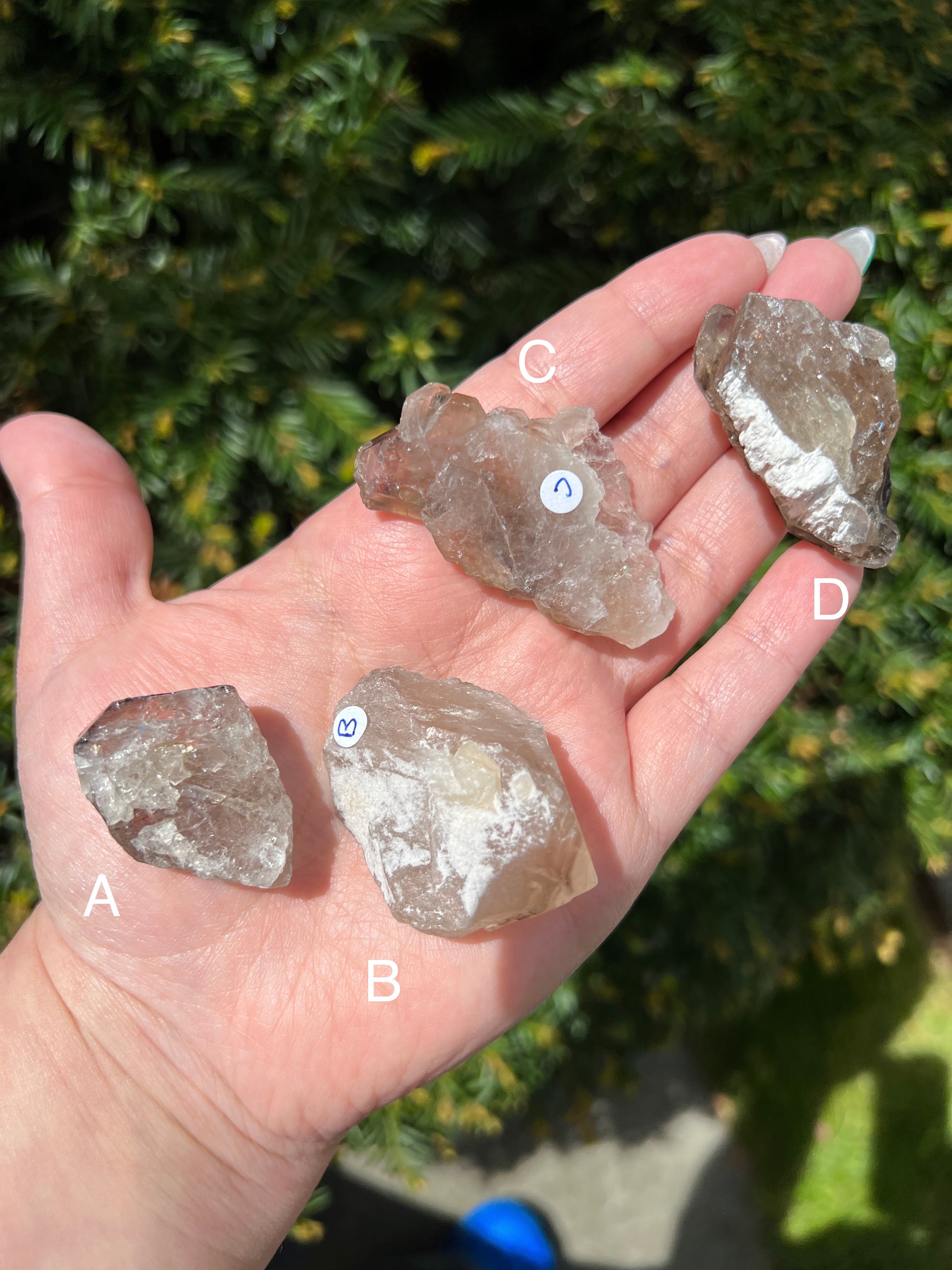 Elestial Smoky Quartz || Choose Your Own Crystal! image 2