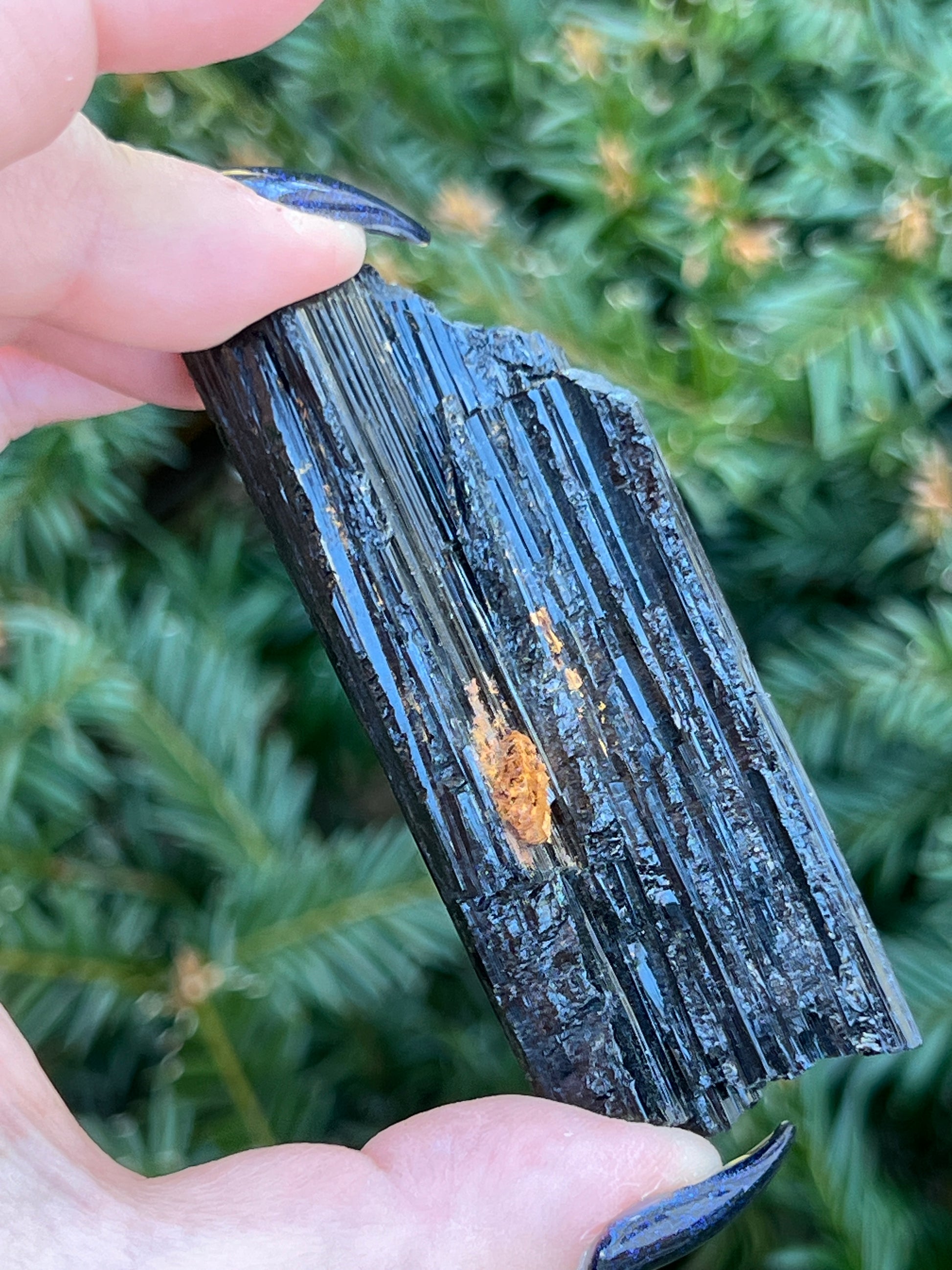 Raw Black Tourmaline || Intuitively Selected Crystal image 3