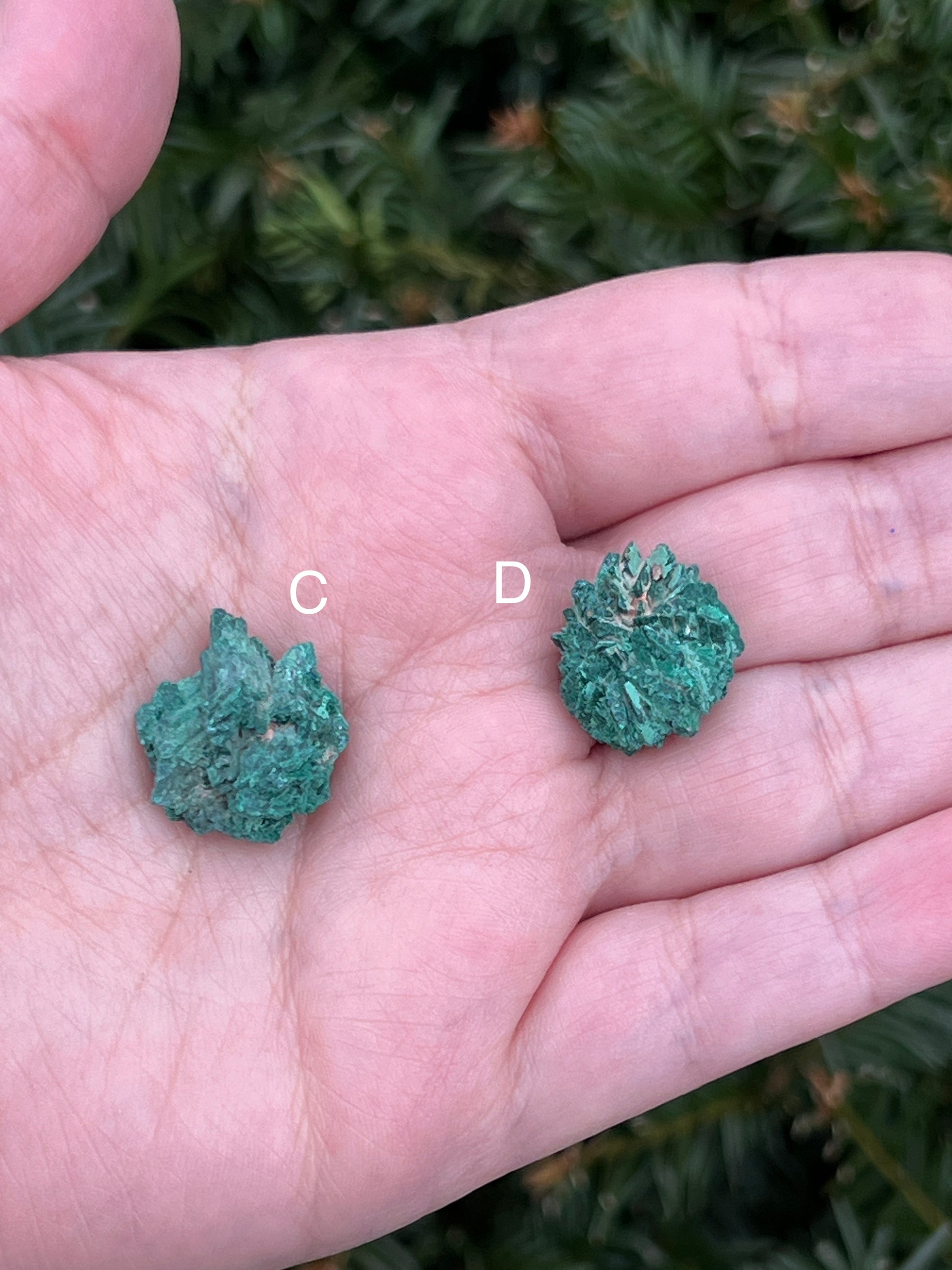 Raws Malachite Pieces || Choose Your Own Crystal! image 4