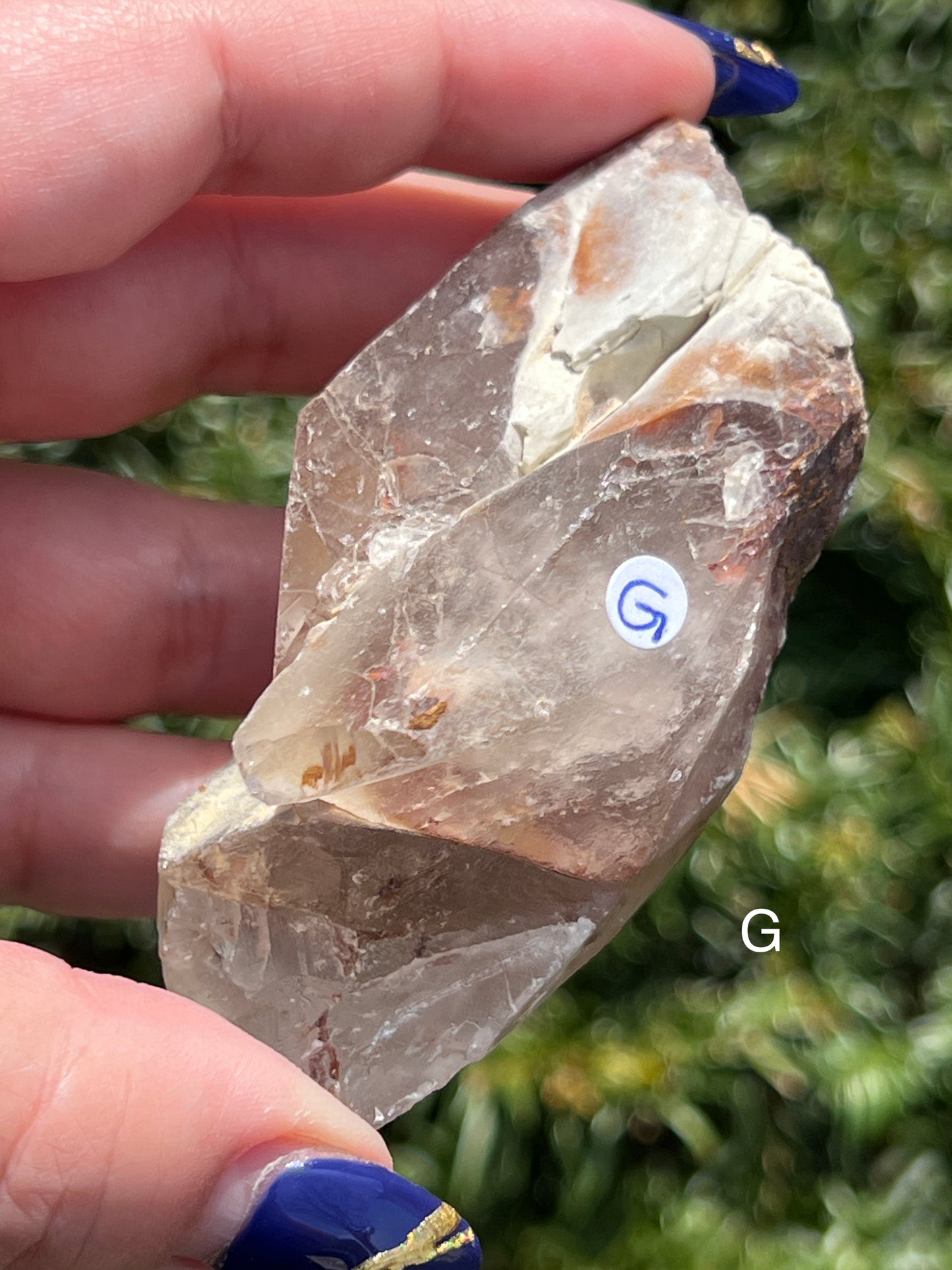 Angel Amphibole Lemurian Quartz || Choose Your Own Crystal! image 6