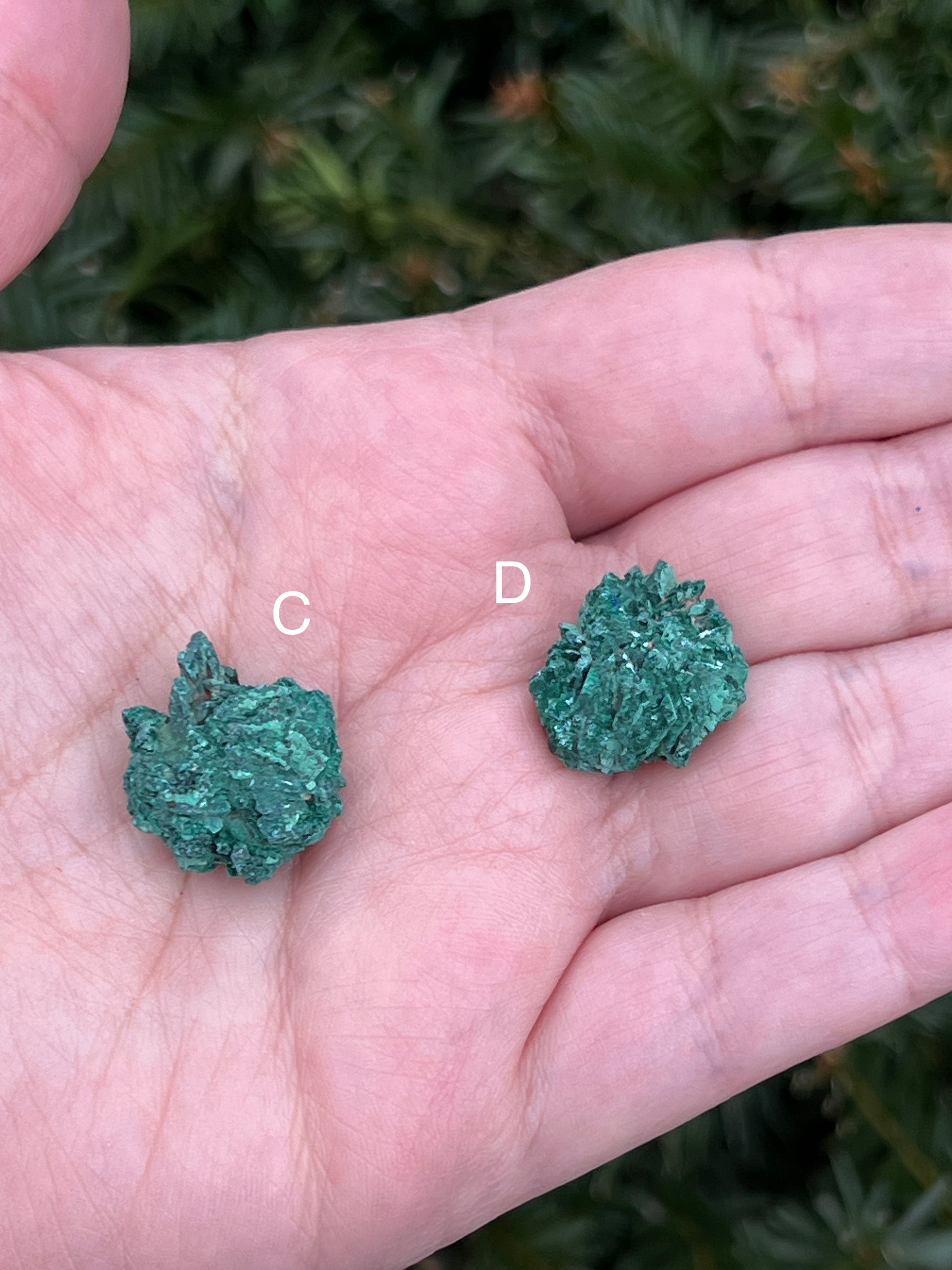 Raws Malachite Pieces || Choose Your Own Crystal! image 3