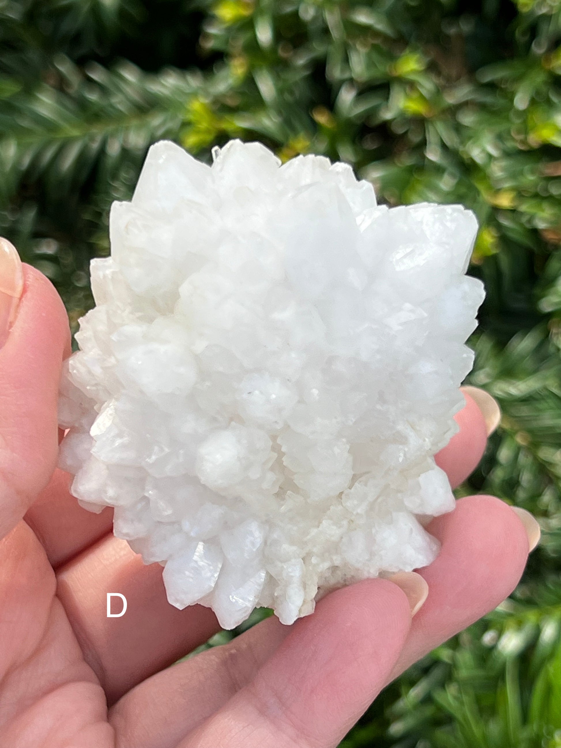 Moroccan Clear Quartz Clusters || Choose Your Own Crystal! image 5