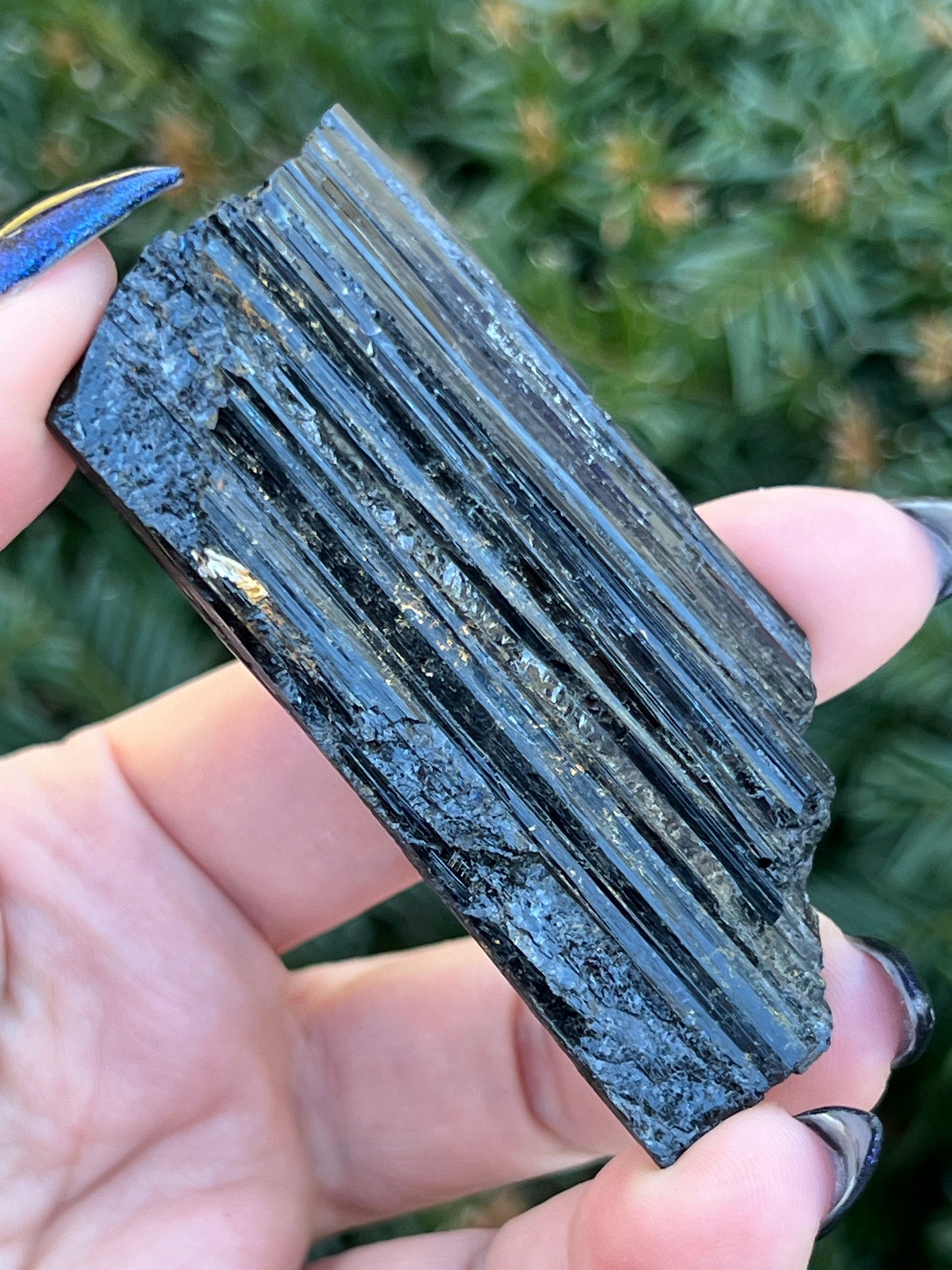 Raw Black Tourmaline || Intuitively Selected Crystal image 4