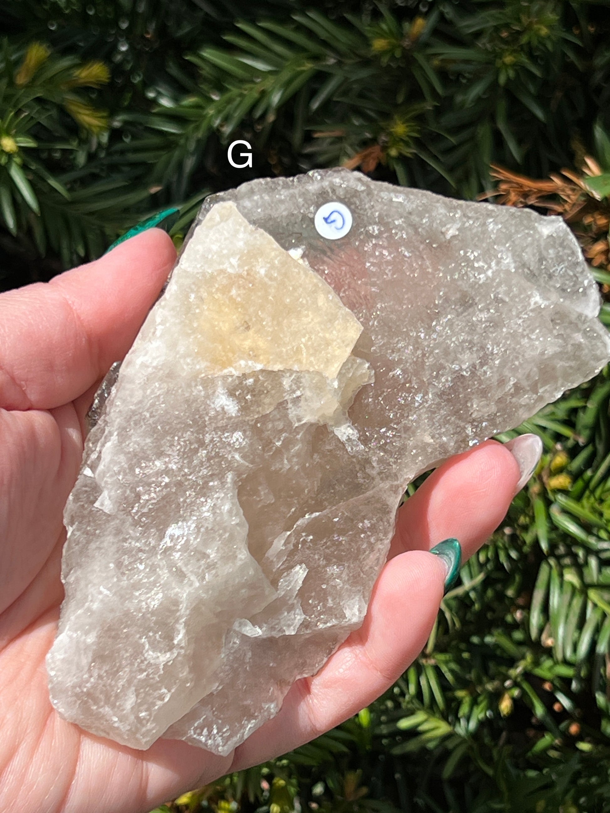 Elestial Smoky Quartz || Choose Your Own Crystal! image 6