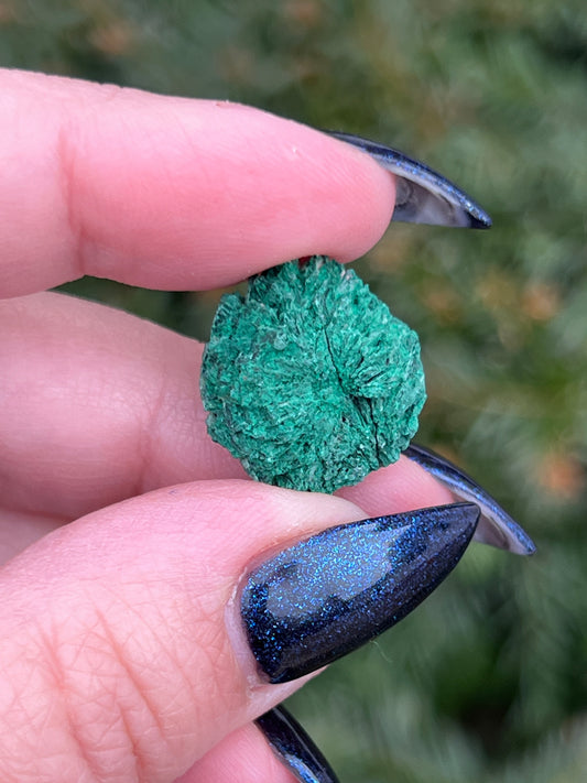 Raws Malachite Pieces || Choose Your Own Crystal! image 0