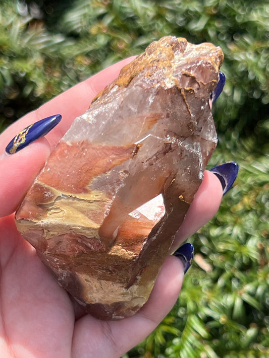 Angel Amphibole Lemurian Quartz || Choose Your Own Crystal! image 0