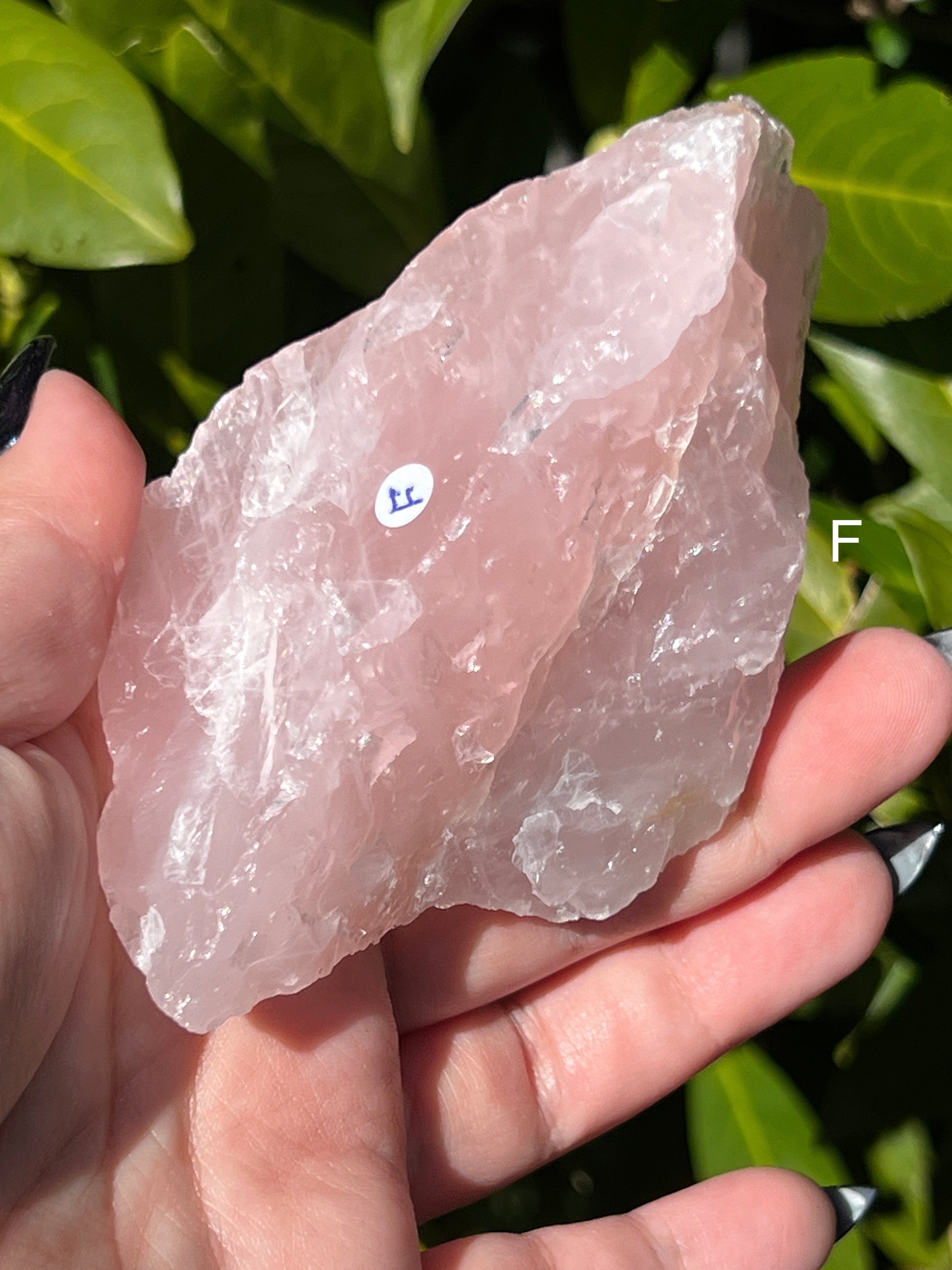 Raw Rose Quartz || Choose Your Own Crystal! image 9