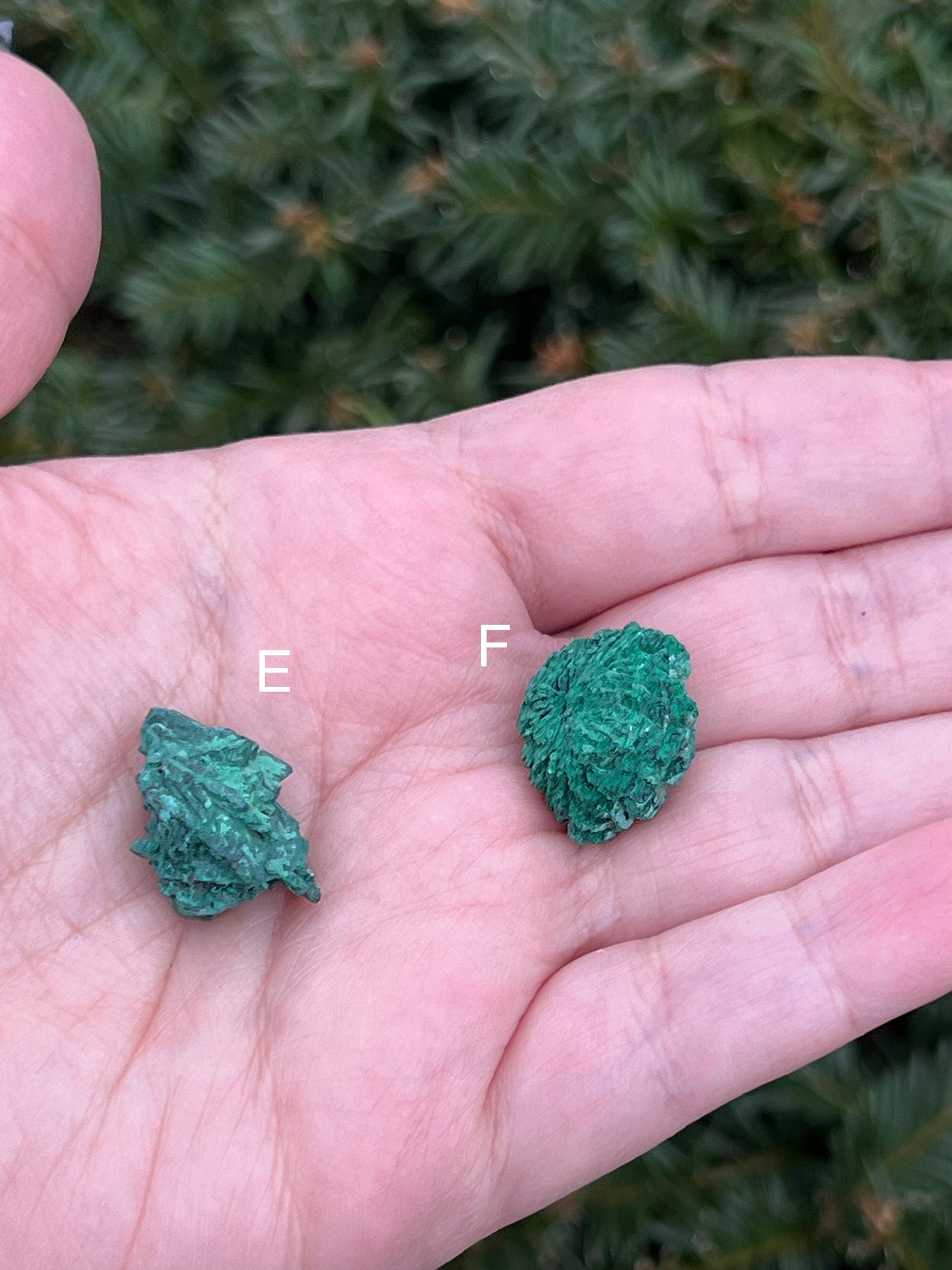 Raws Malachite Pieces || Choose Your Own Crystal! image 5