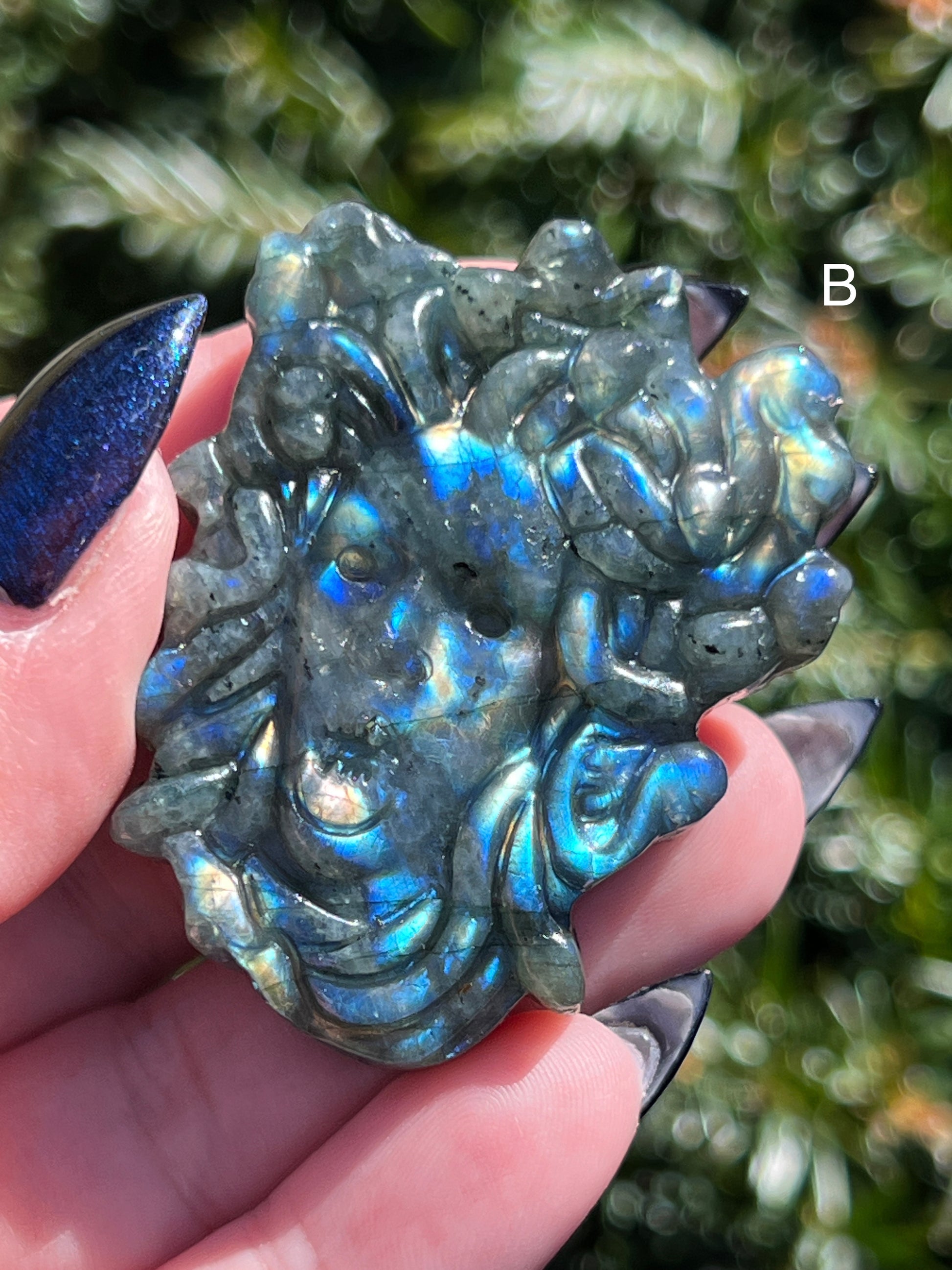 Labradorite Medusa || Choose Your Own Crystal! image 3