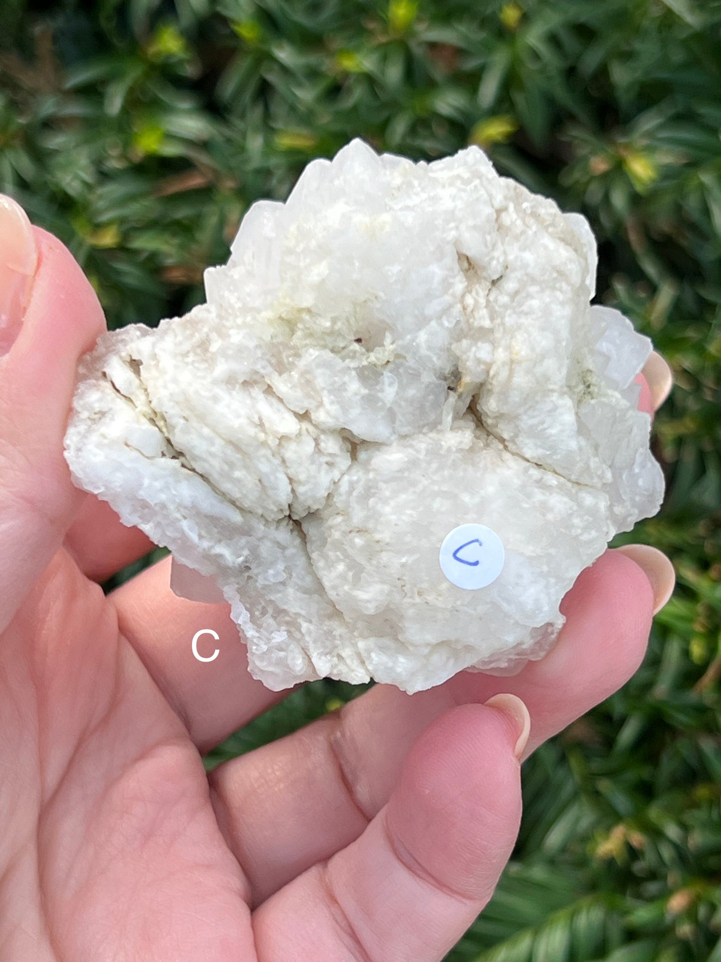 Moroccan Clear Quartz Clusters || Choose Your Own Crystal! image 4