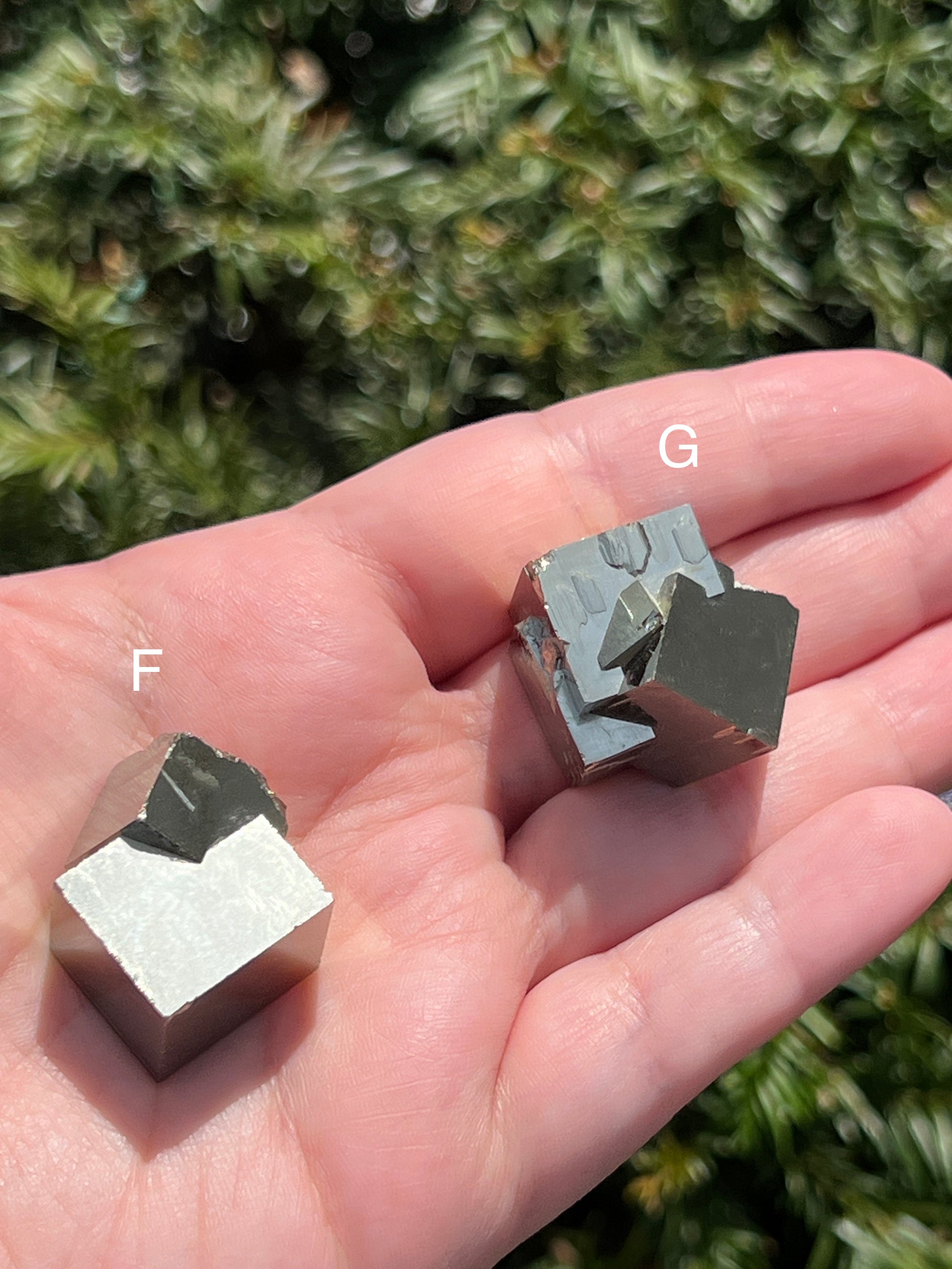 Pyrite Cube Clusters || Intergrowth Pyrite || Choose Your Own Crystal! image 5