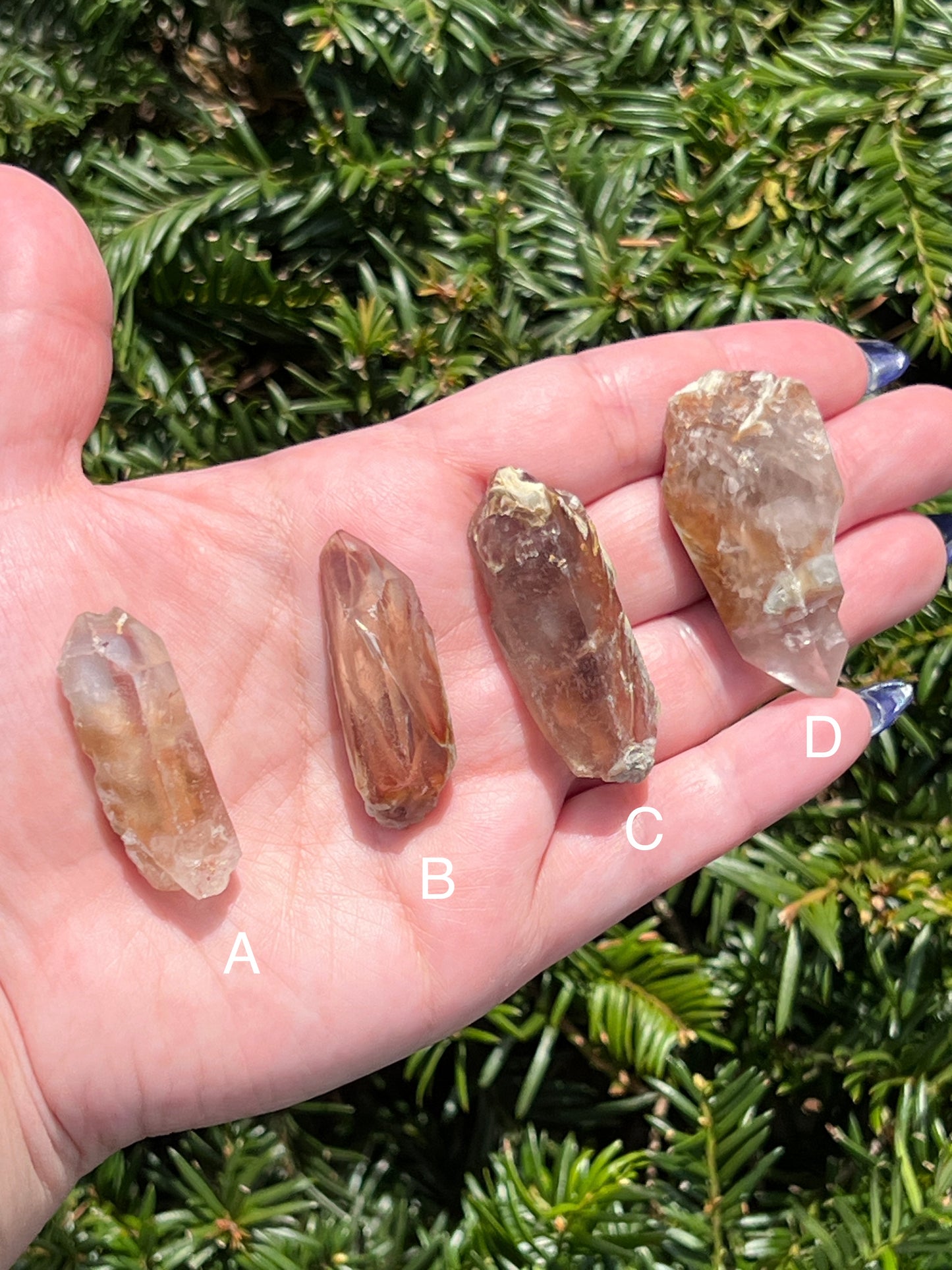 Angel Amphibole Lemurian Quartz || Choose Your Own Crystal! image 1