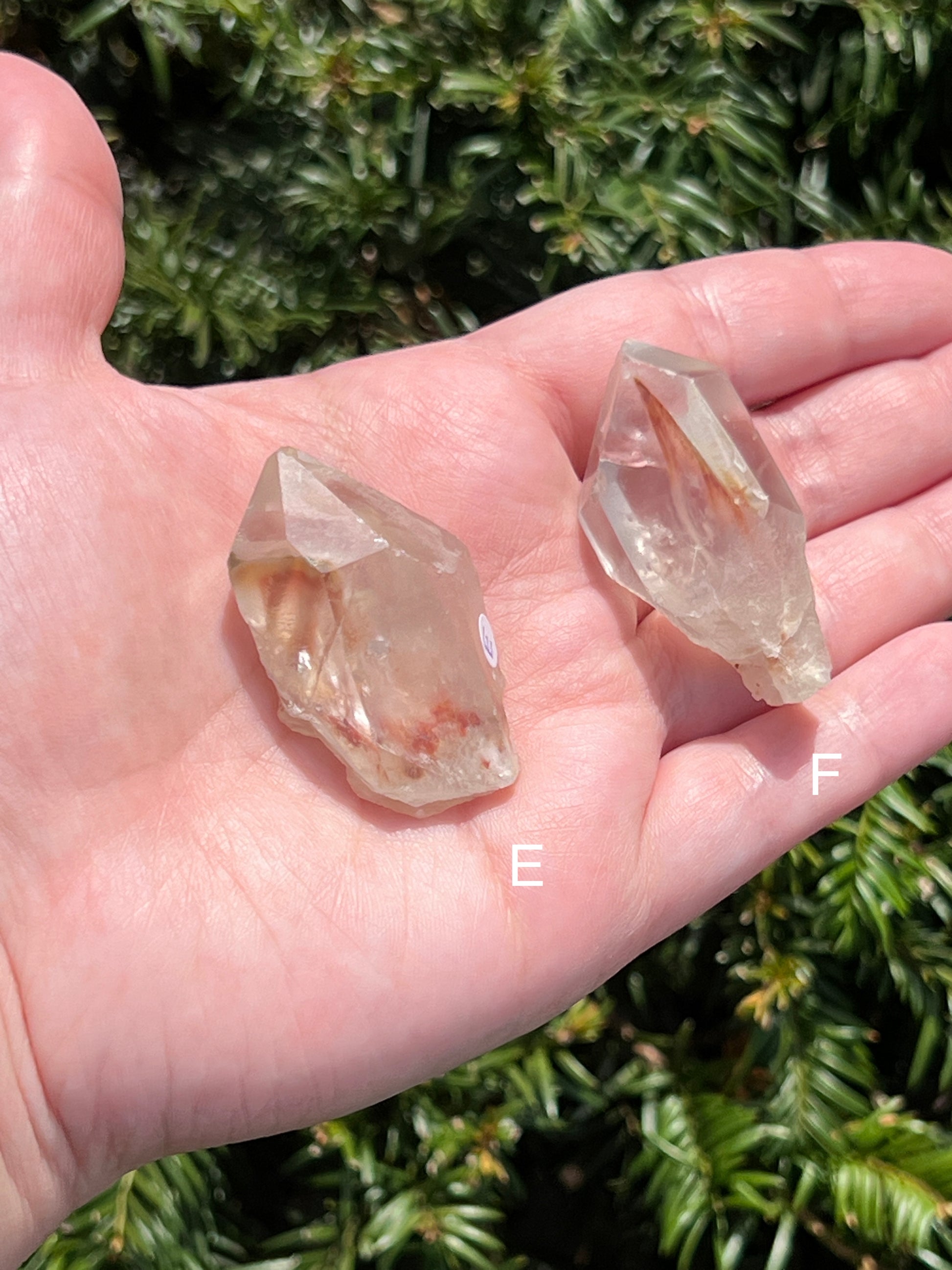 Angel Amphibole Lemurian Quartz || Choose Your Own Crystal! image 3