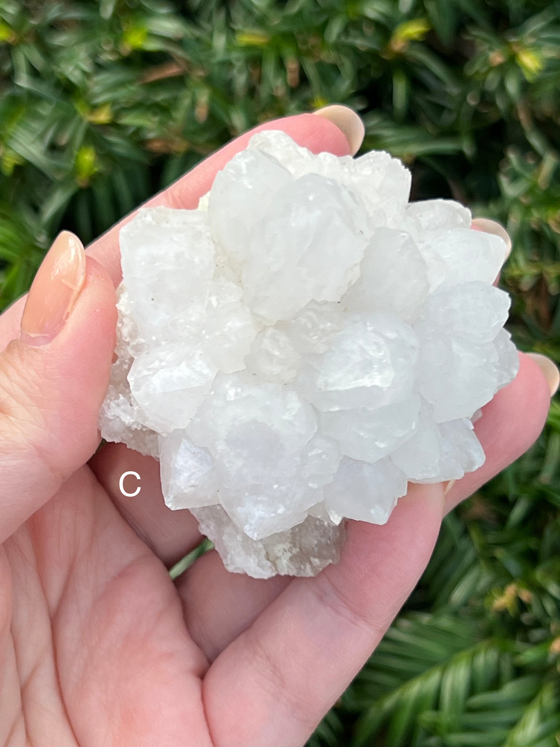 Moroccan Clear Quartz Clusters || Choose Your Own Crystal! image 3